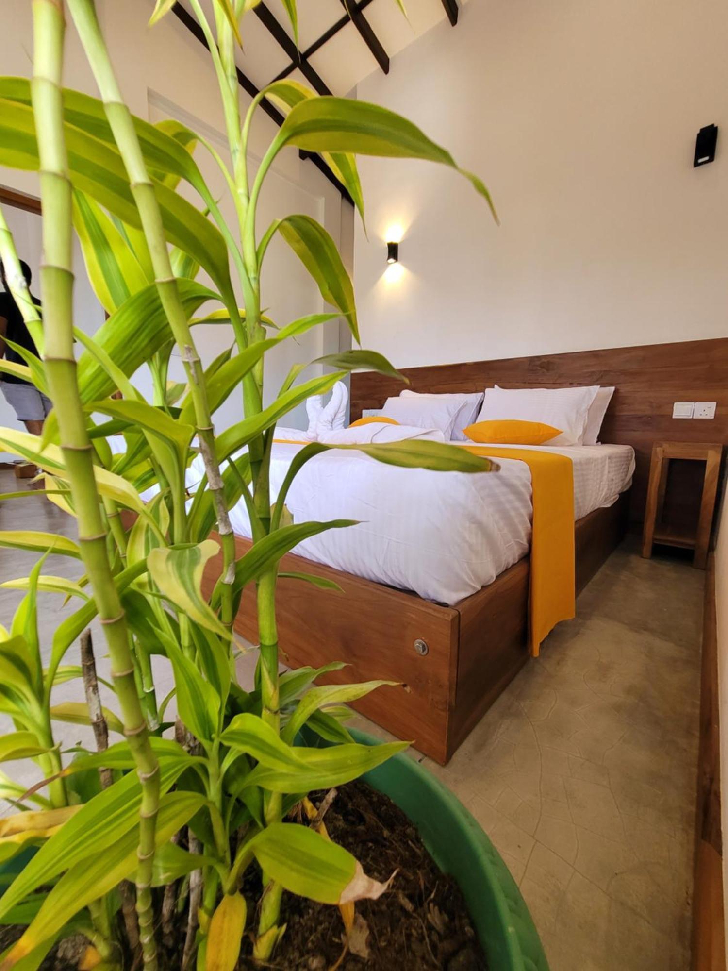Yours 20Four Ahangama Ngoại thất bức ảnh